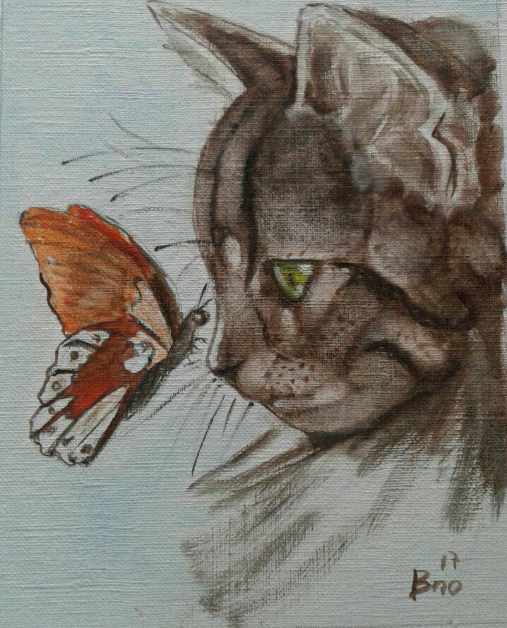 Gato y mariposa
